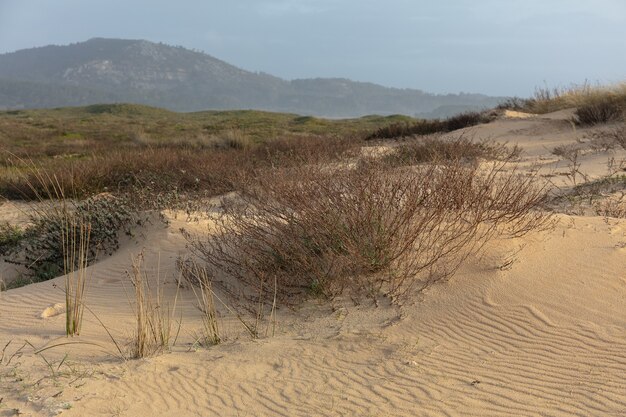 Feld bedeckt mit Grün und Sand, umgeben von Hügeln unter einem bewölkten Himmel