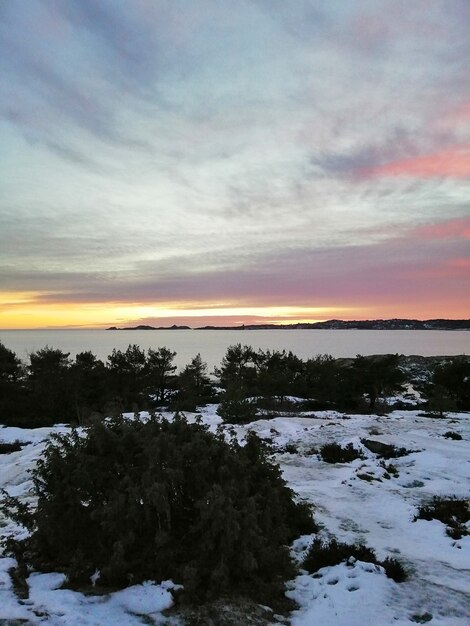 Feld bedeckt mit Grün und Schnee, umgeben vom Wasser unter einem bewölkten Himmel während des Sonnenuntergangs