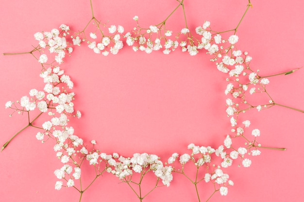 Feld gemacht vom weißen Gypsophila auf Pfirsichhintergrund