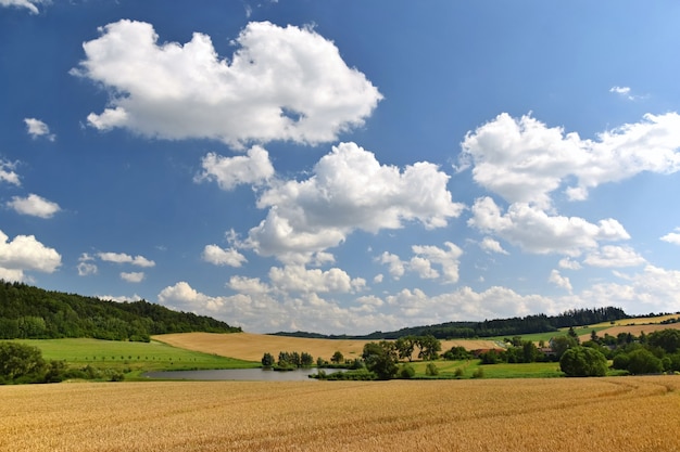 Feld mit Wolken