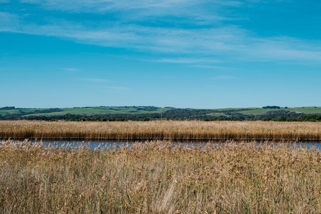 Feld und Berg