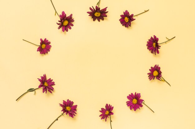 Feld von den kleinen rosa Blumen auf Tabelle