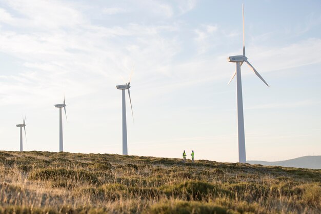 Felder für Windparks