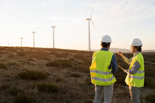 Felder für Windparks