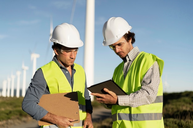 Felder für Windparks