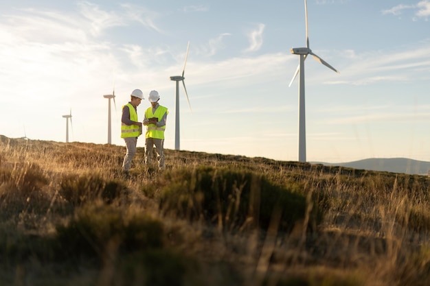 Felder für Windparks