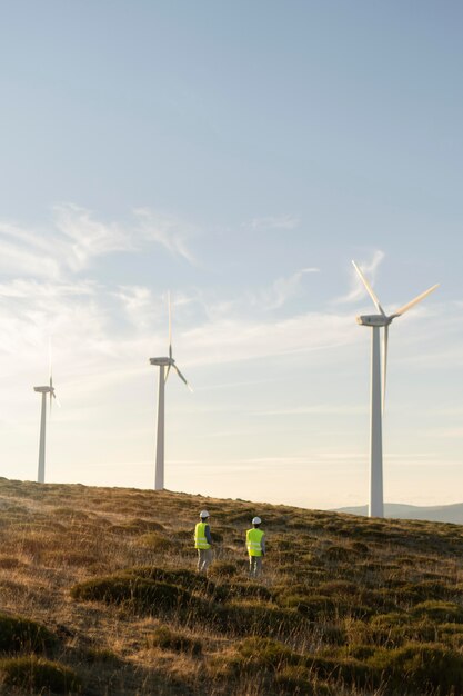 Felder für Windparks