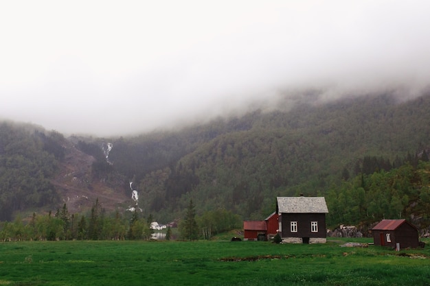 Felsen bedeckt mit Grün und dichtem Nebel