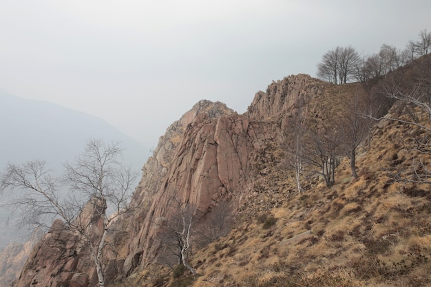 Felsen getrocknetes Gras und kühne Bäume während des Tages