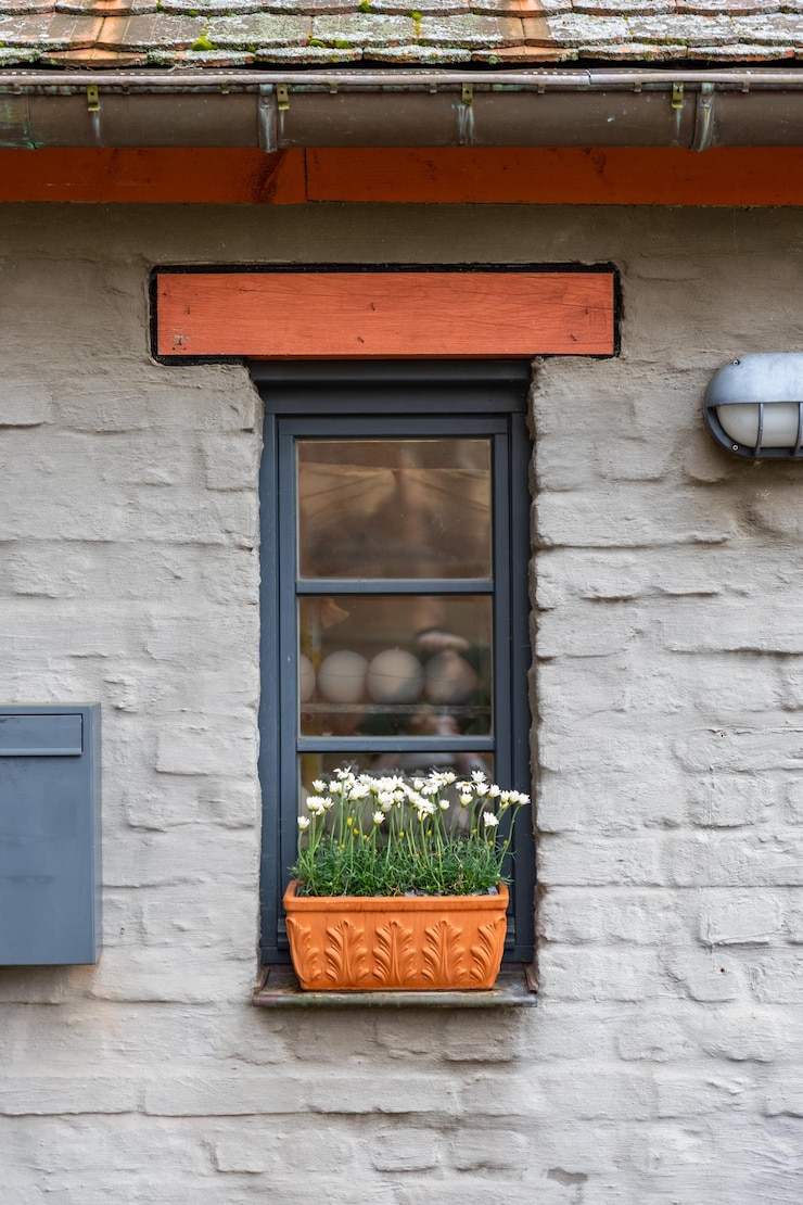 Kostenlose Foto fenster mit blumen graue wand gänseblümchenpflanzer