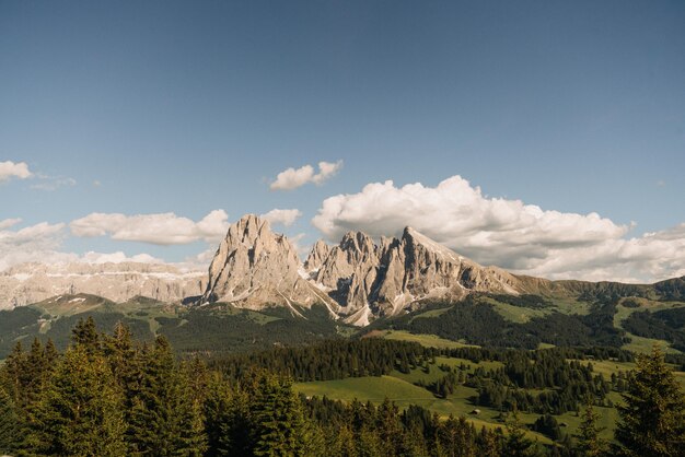 Ferne Aufnahme von hohen Bergen, umgeben von Bäumen unter einem klaren blauen Himmel mit weißen Wolken