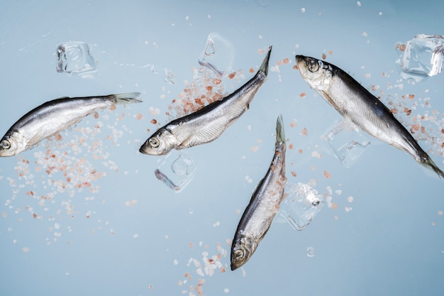 Fisch mit Salz und Eiswürfeln