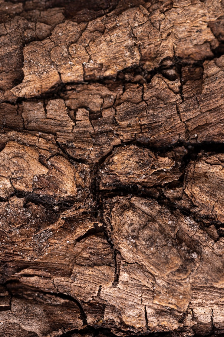 Kostenlose Foto flach gelegene natürliche holzstruktur