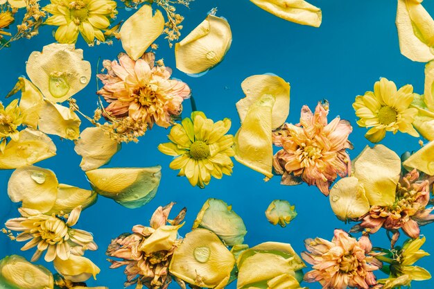 Kostenloses Foto flach legen gelbe blüten in wasser