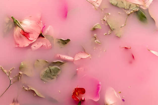Flach legen Orchideen und Rosen in rosa gefärbtem Wasser