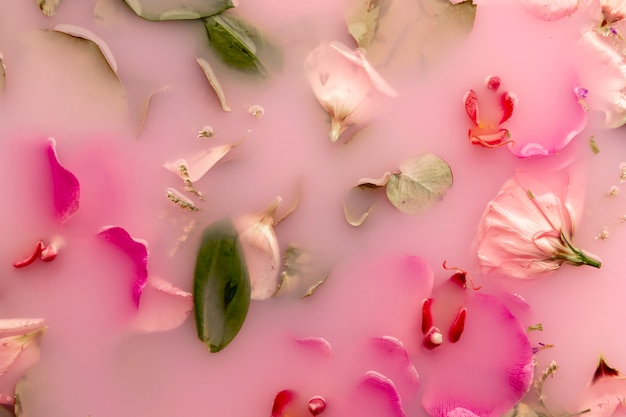 Kostenloses Foto flach legen rosa blüten in rosa gefärbtem wasser