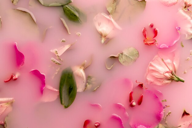Flach legen rosa Blüten in rosa gefärbtem Wasser