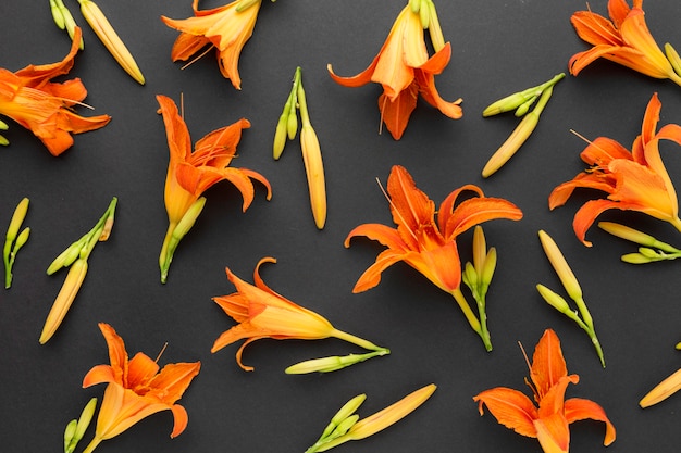 Kostenloses Foto flache anordnung von orangenlilien