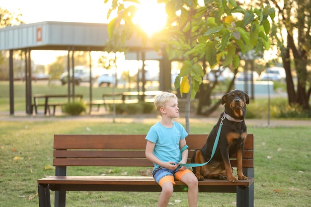 Flache Fokusaufnahme eines kleinen blonden Jungen mit einem braunen Hund auf einer Holzbank