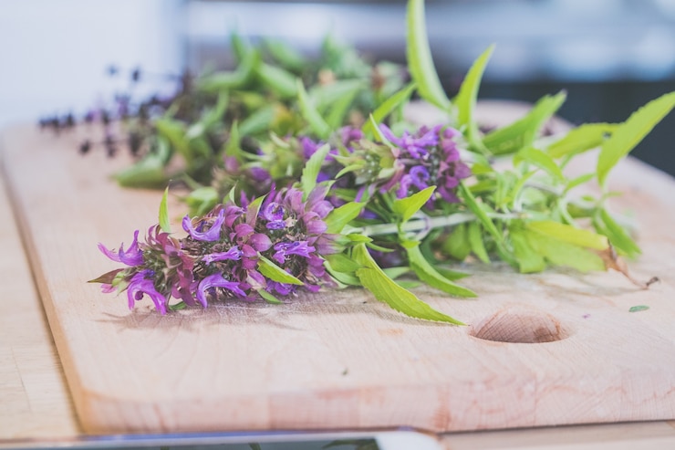 Kostenlose Foto flache fokusaufnahme von blauem lavendel aus dem garten