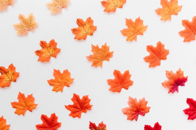 Flache Lage der Herbstlaubbeschaffenheit