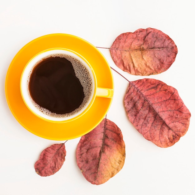 Flache Lage der Kaffeetasse mit Herbstlaub