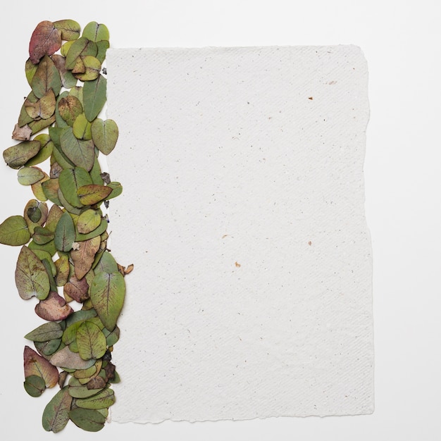 Kostenloses Foto flache lage der papierschablone mit naturkonzept