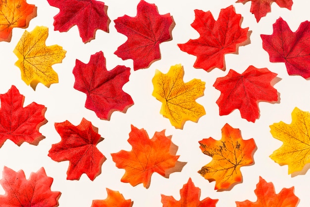 Kostenloses Foto flache lage verschiedener herbstblätter