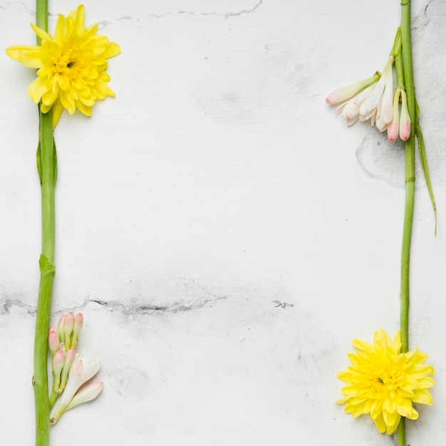 Kostenloses Foto flache lage von frühlingsgänseblümchen und orchideen
