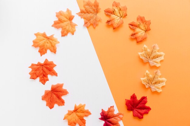 Flache Lage von Herbstlaub um Grenze platziert