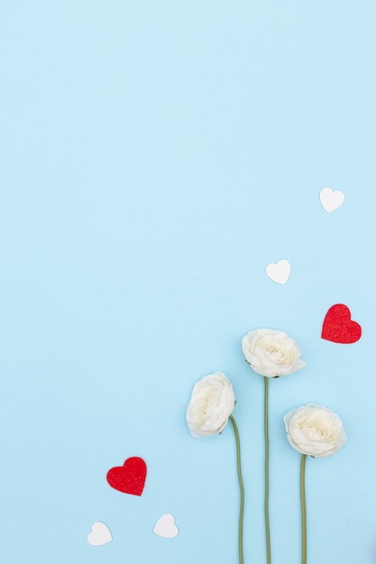 Flache Lage von Valentinstagblumen mit Kopienraum und -herzen