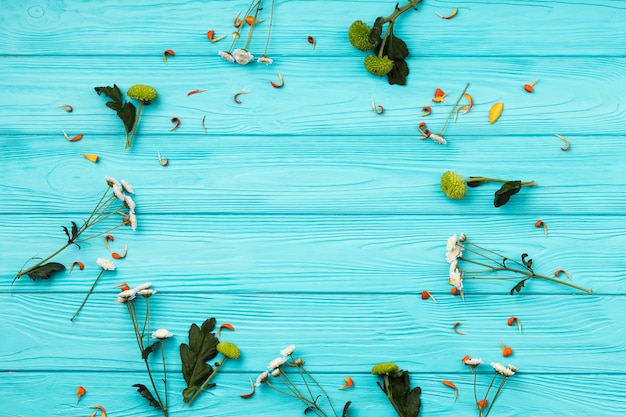 Flache Lagezusammensetzung von Blumen mit Rahmenkonzept