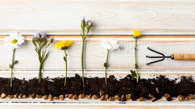 Kostenloses Foto flache laie pflanzt blumen