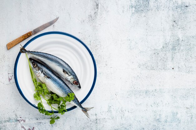 Flache Laienanordnung mit gekochtem Fisch- und Stuckhintergrund