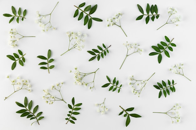 Kostenloses Foto flache laienblumensammlung auf tisch