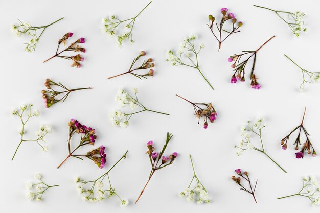 Flache Laienblumensammlung auf Tisch