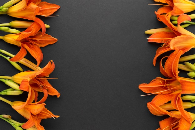 Kostenloses Foto flache orangefarbene lilien