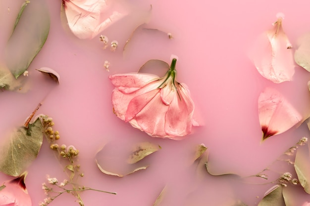 Flache rosa rosen in rosa gefärbtem wasser