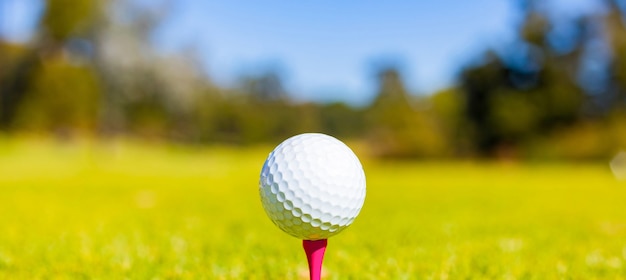 Flacher Fokus eines Golfballs auf einem Abschlag in einem Kurs