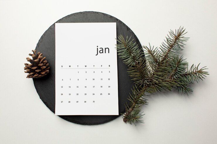 Kostenlose Foto flacher januarkalender und zweige