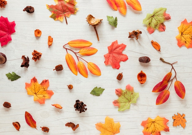 Flacher Lageherbstlaub auf hölzernem Hintergrund