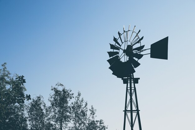 Flacher Winkelschuss der Silhouette einer Windmühle über den Bäumen