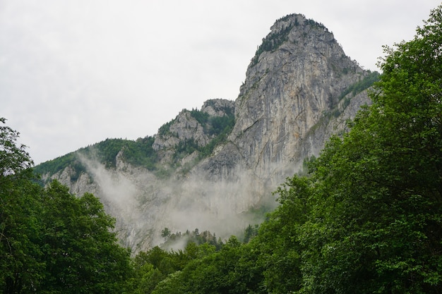 Flacher Winkelschuss eines nebligen Felsenberges gegen einen bewölkten Himmel mit Bäumen im unteren Vordergrund