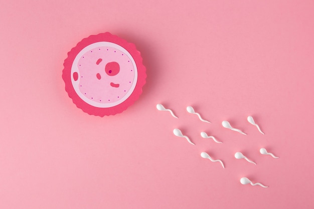 Flaches Fruchtbarkeitskonzept mit rosa Hintergrund