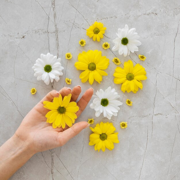 Flaches Ladensortiment des Optimismuskonzepts mit Blumen