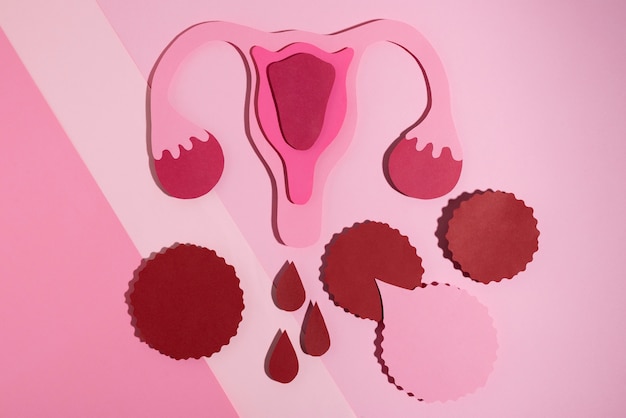 Flachgelegtes Fortpflanzungssystem von Frauen