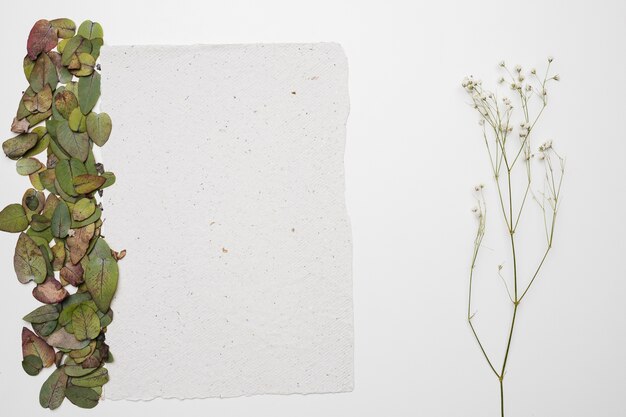 Flachlag-Papiervorlage mit Naturkonzept