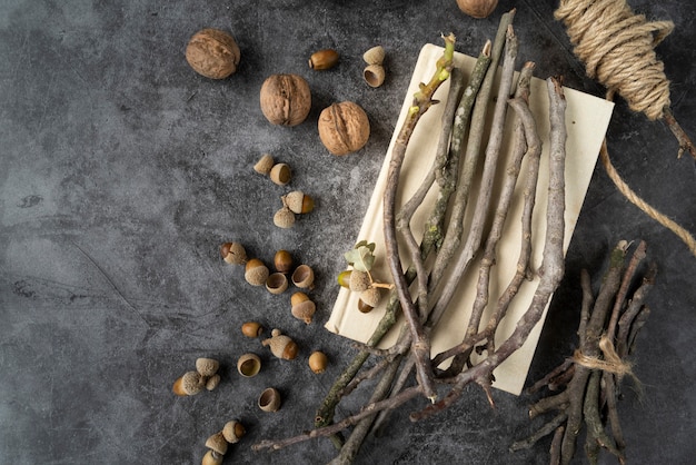 Flachlegerahmen mit Zweigen und Kopieraum