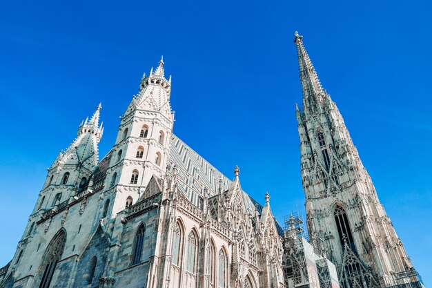 Flachwinkelaufnahme des Stephansdoms in Wien