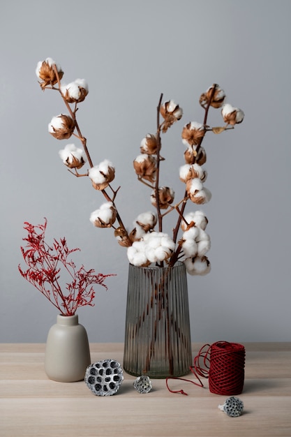 Kostenloses Foto flaumige baumwollpflanze in einer vase, die in der inneneinrichtung verwendet wird